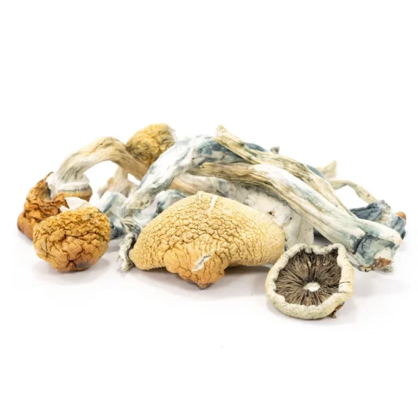 Buy Blue Meanie Magic Mushrooms Online Oregon USA.
